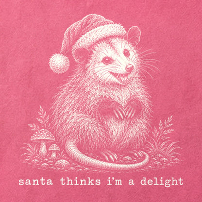 Santa Thinks I Am a Delight Possum Cotton T-Shirt