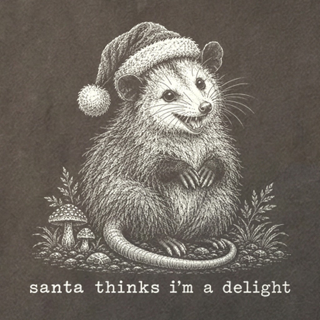Santa Thinks I Am a Delight Possum Cotton T-Shirt
