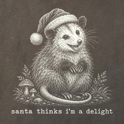 Santa Thinks I Am a Delight Possum Cotton T-Shirt