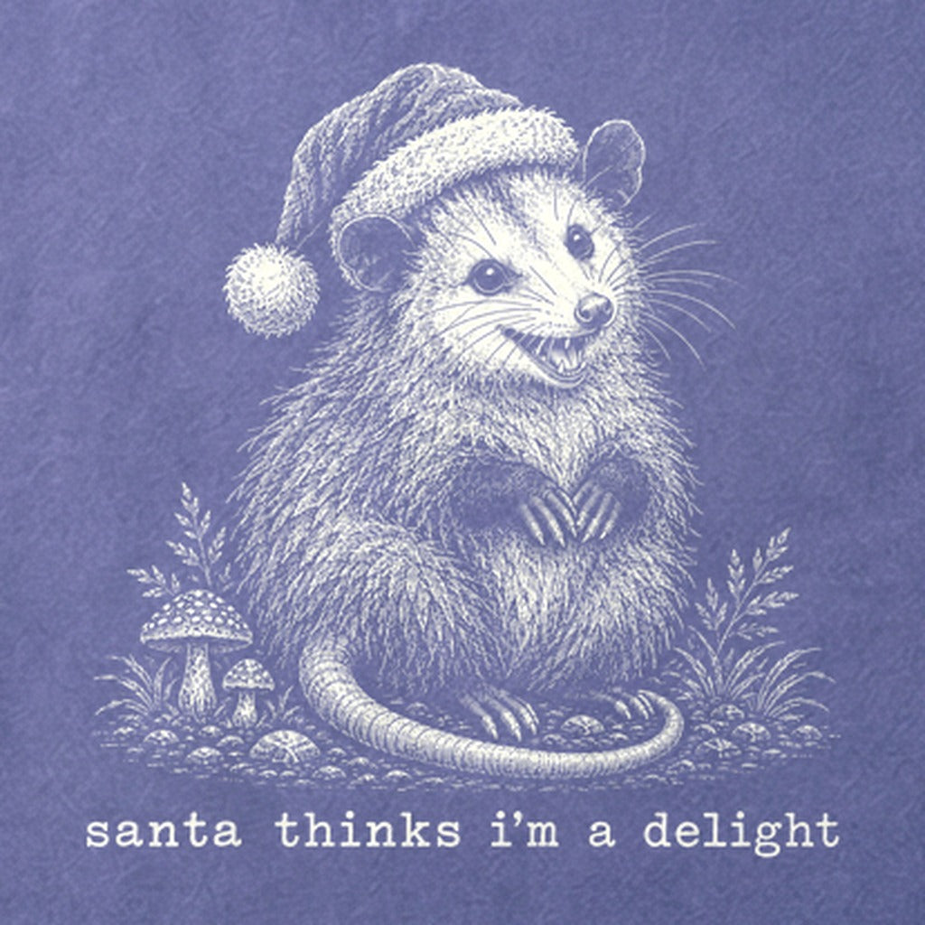 Santa Thinks I Am a Delight Possum Cotton T-Shirt