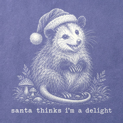 Santa Thinks I Am a Delight Possum Cotton T-Shirt