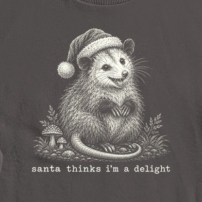 Santa Thinks I Am a Delight Possum Crewneck Sweatshirt