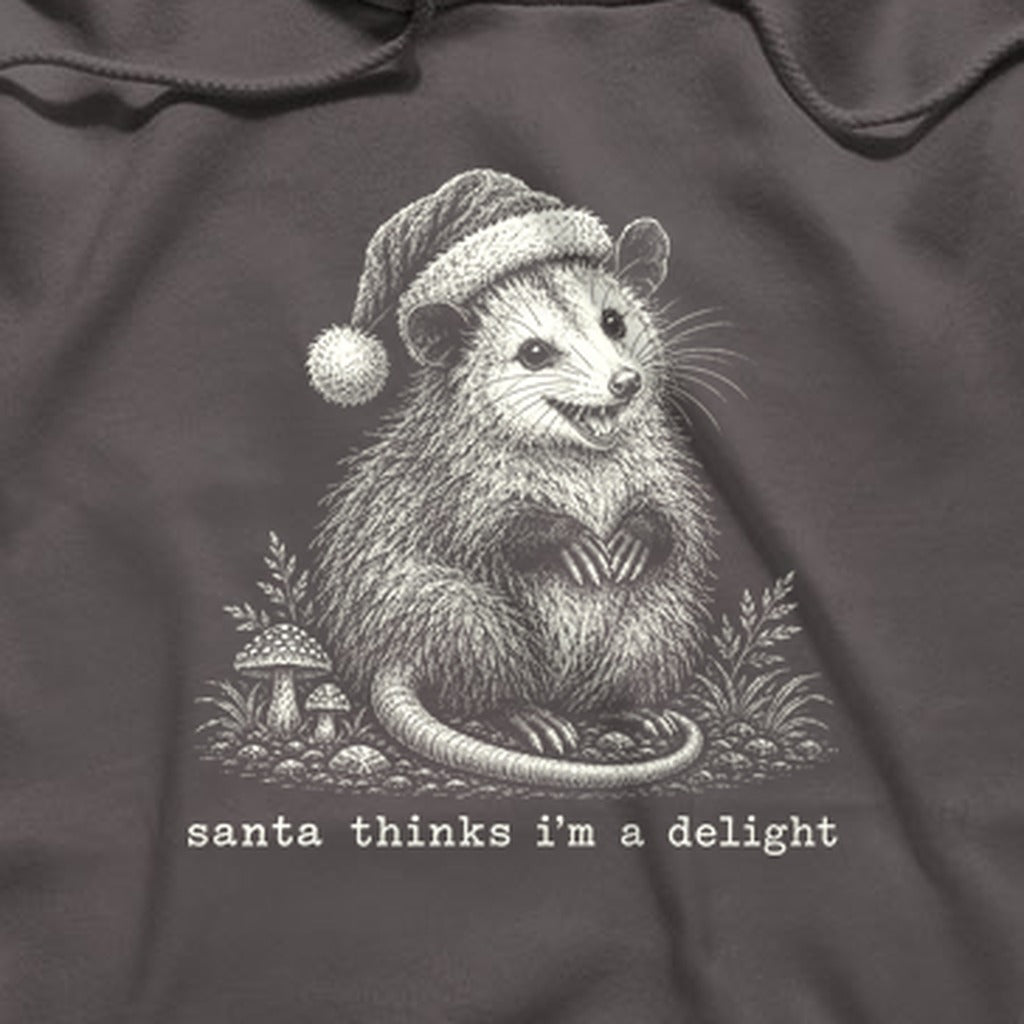 Santa Thinks I Am a Delight Possum Hoodie