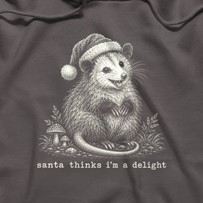 Santa Thinks I Am a Delight Possum Hoodie