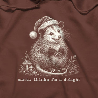 Santa Thinks I Am a Delight Possum Hoodie