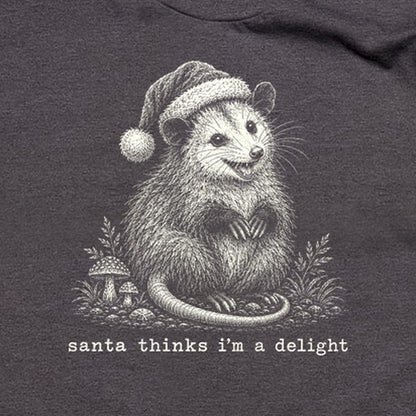 Santa Thinks I Am a Delight Possum T-Shirt
