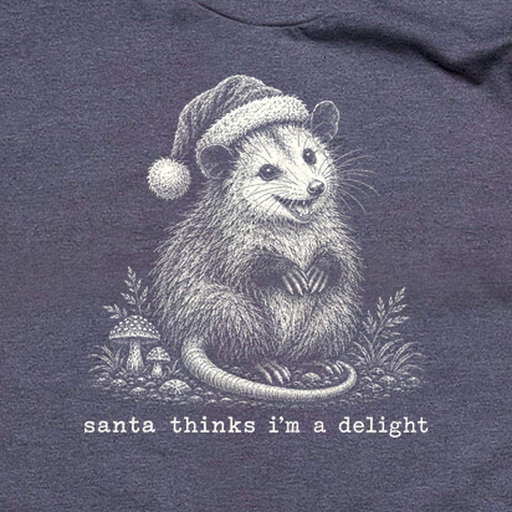 Santa Thinks I Am a Delight Possum T-Shirt