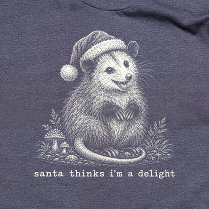 Santa Thinks I Am a Delight Possum T-Shirt