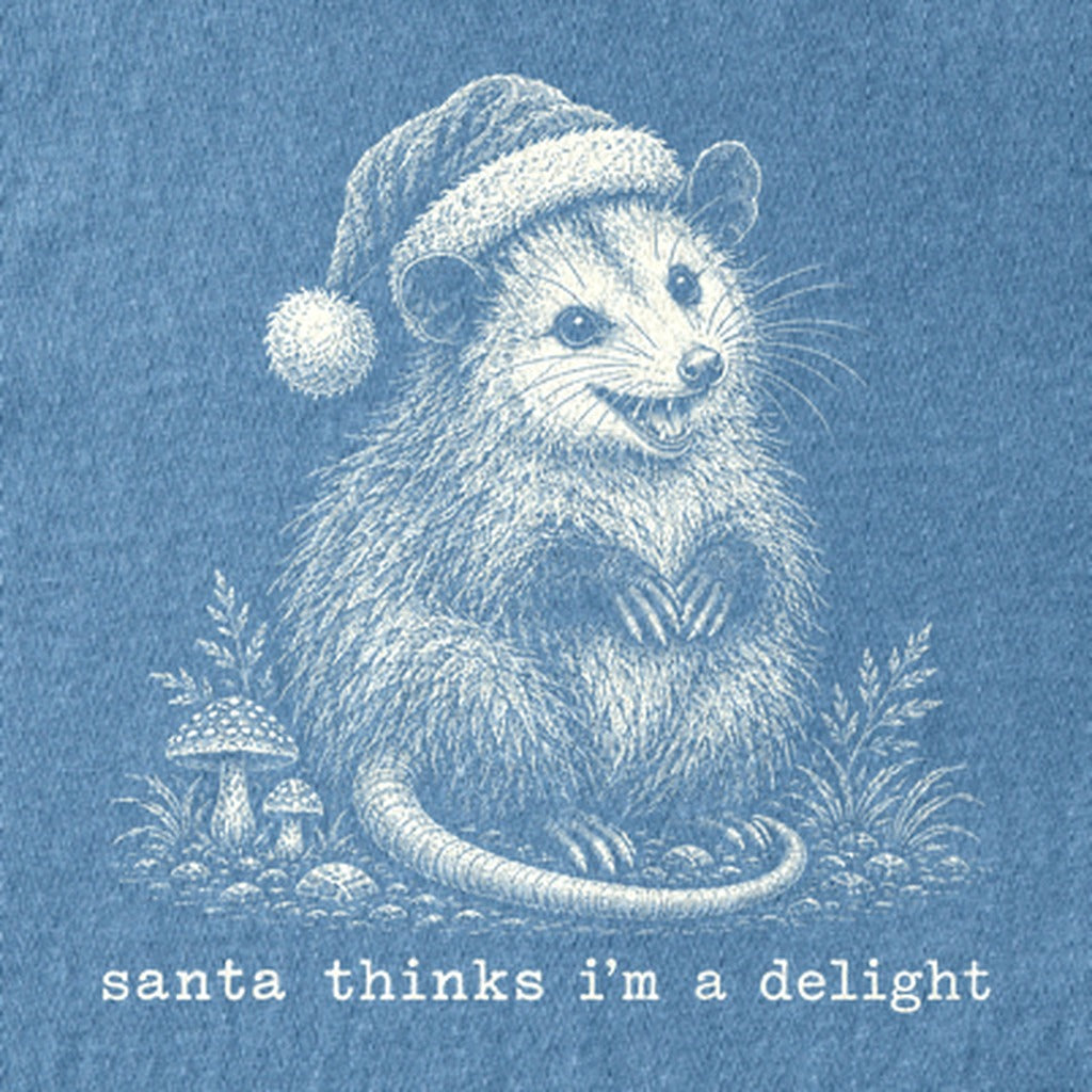 Santa Thinks I Am a Delight Possum Kids Cotton T-Shirt