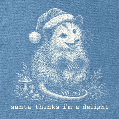 Santa Thinks I Am a Delight Possum Kids Cotton T-Shirt