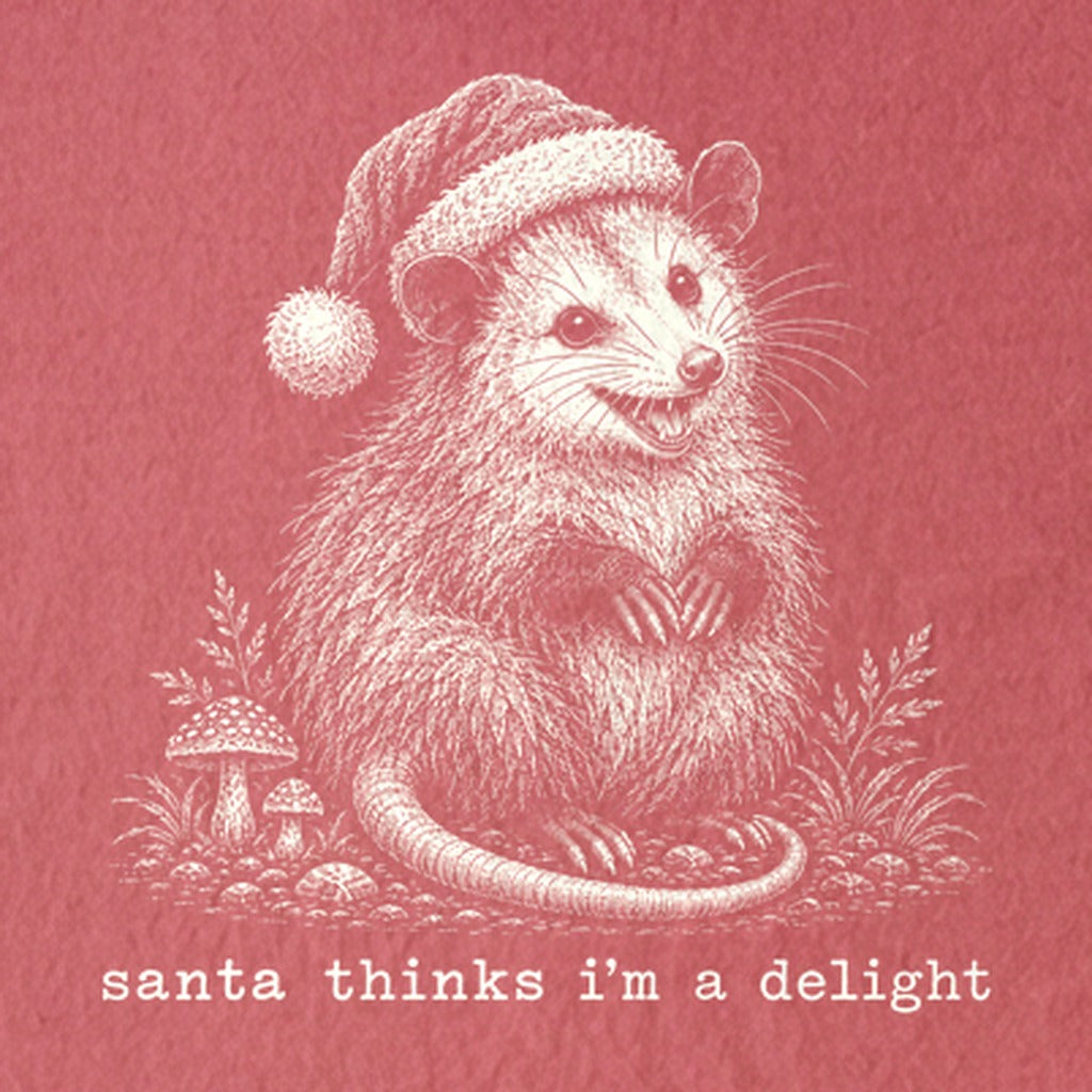 Santa Thinks I Am a Delight Possum Kids Cotton T-Shirt