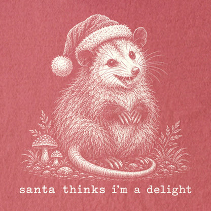 Santa Thinks I Am a Delight Possum Kids Cotton T-Shirt