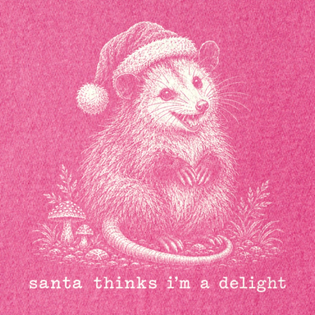 Santa Thinks I Am a Delight Possum Kids Cotton T-Shirt