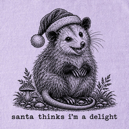 Santa Thinks I Am a Delight Possum Kids Cotton T-Shirt