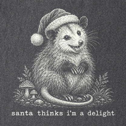 Santa Thinks I Am a Delight Possum Kids Cotton T-Shirt