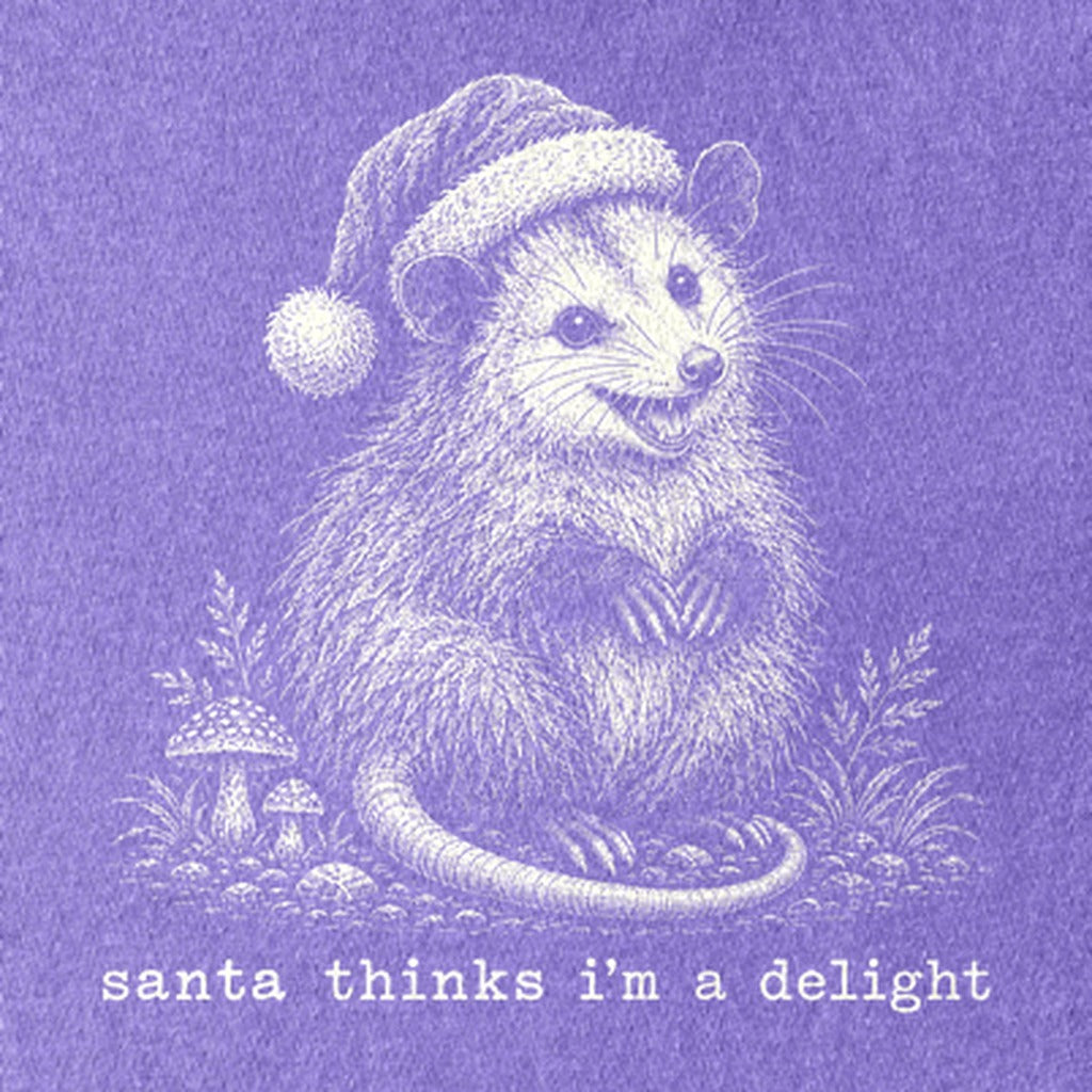 Santa Thinks I Am a Delight Possum Kids Cotton T-Shirt
