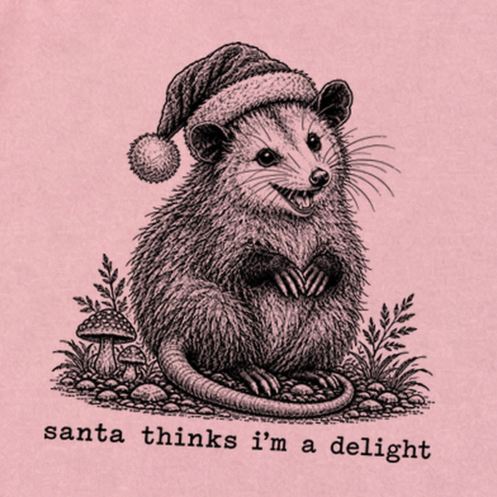 Santa Thinks I Am a Delight Possum Premium Long Sleeve