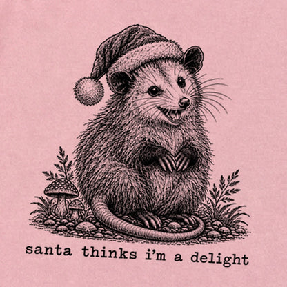 Santa Thinks I Am a Delight Possum Premium Long Sleeve