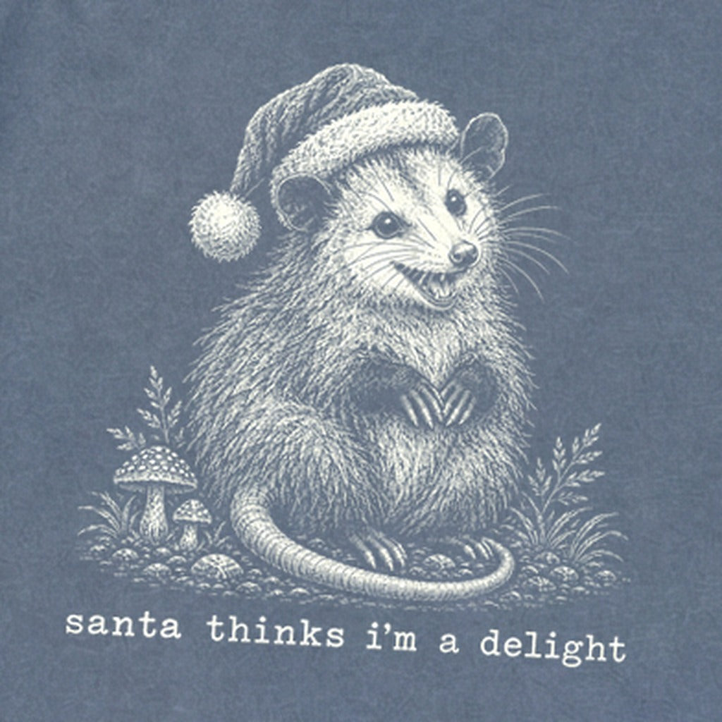 Santa Thinks I Am a Delight Possum Premium Long Sleeve