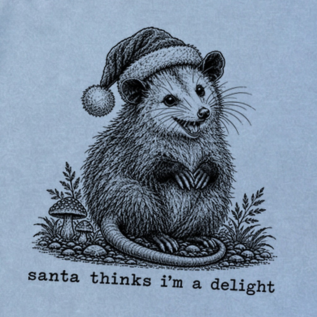 Santa Thinks I Am a Delight Possum Premium Long Sleeve