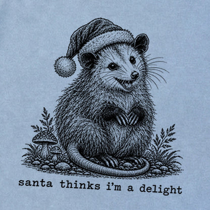 Santa Thinks I Am a Delight Possum Premium Long Sleeve