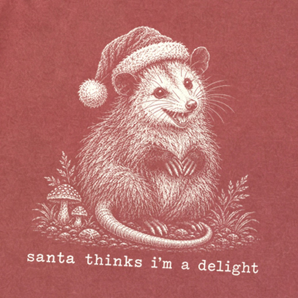 Santa Thinks I Am a Delight Possum Premium Long Sleeve