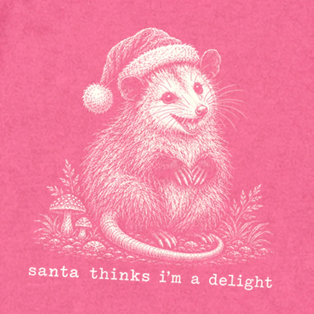 Santa Thinks I Am a Delight Possum Premium Long Sleeve
