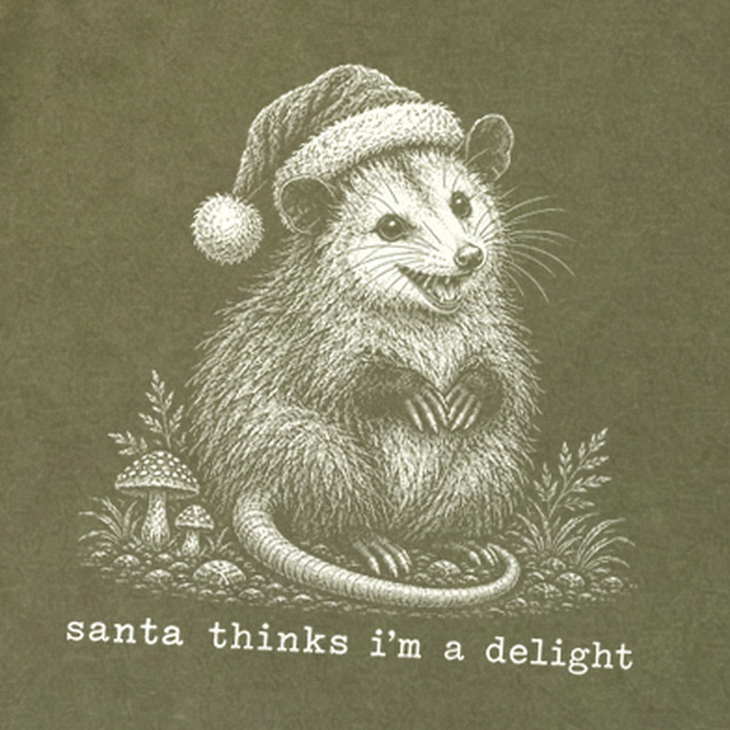 Santa Thinks I Am a Delight Possum Premium Long Sleeve