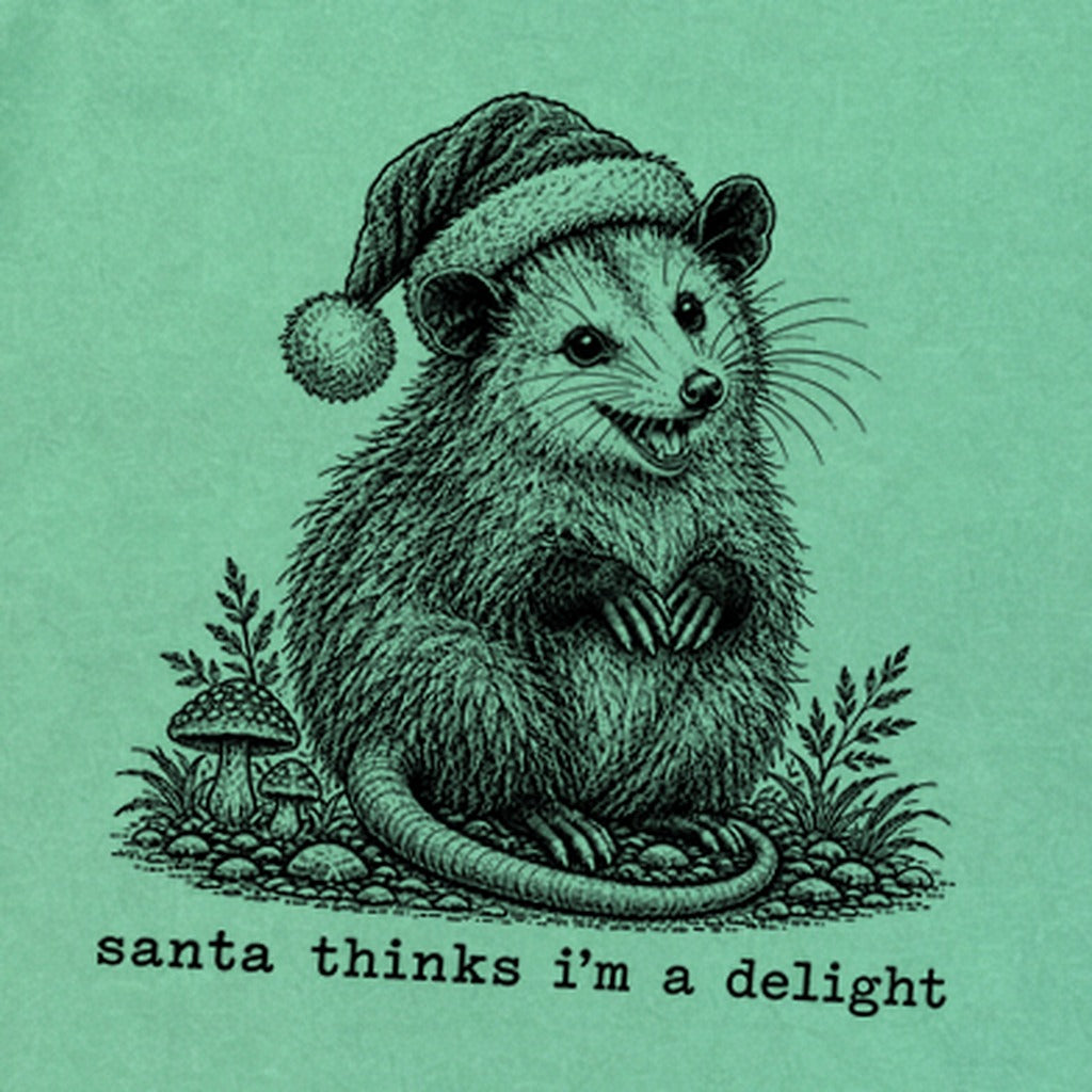 Santa Thinks I Am a Delight Possum Premium Long Sleeve