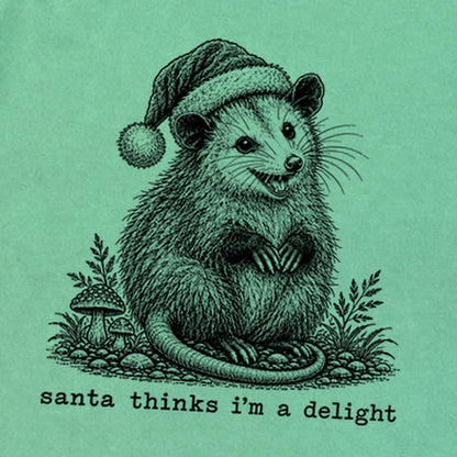 Santa Thinks I Am a Delight Possum Premium Long Sleeve