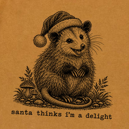 Santa Thinks I Am a Delight Possum Premium Long Sleeve
