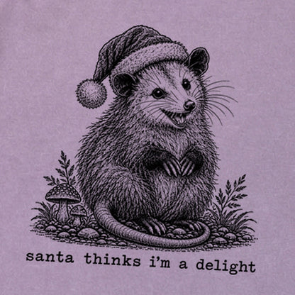 Santa Thinks I Am a Delight Possum Premium Long Sleeve