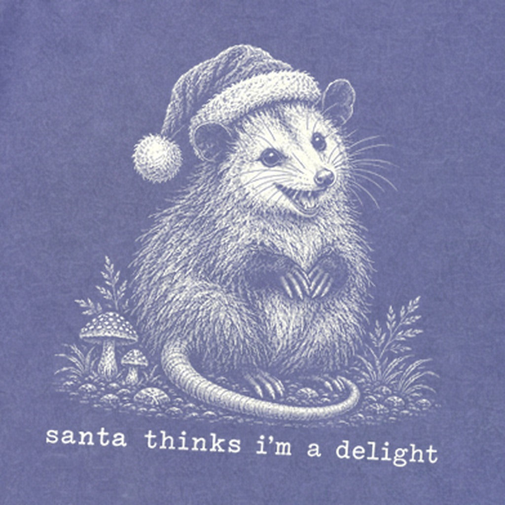 Santa Thinks I Am a Delight Possum Premium Long Sleeve