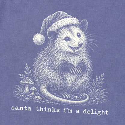 Santa Thinks I Am a Delight Possum Premium Long Sleeve
