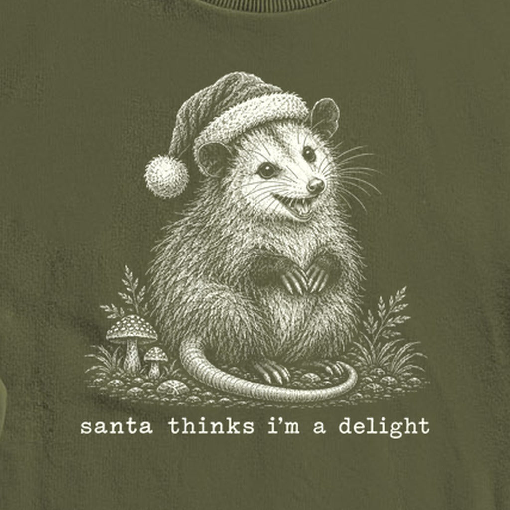 Santa Thinks I Am a Delight Possum Crewneck Sweatshirt