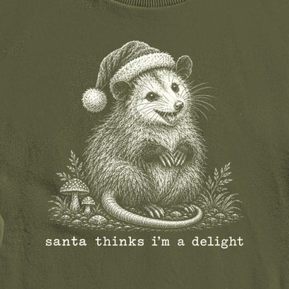 Santa Thinks I Am a Delight Possum Crewneck Sweatshirt