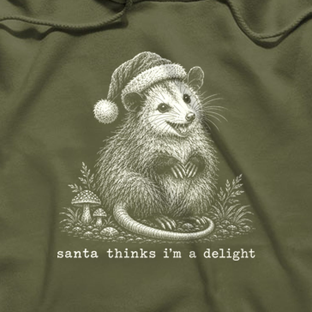 Santa Thinks I Am a Delight Possum Hoodie