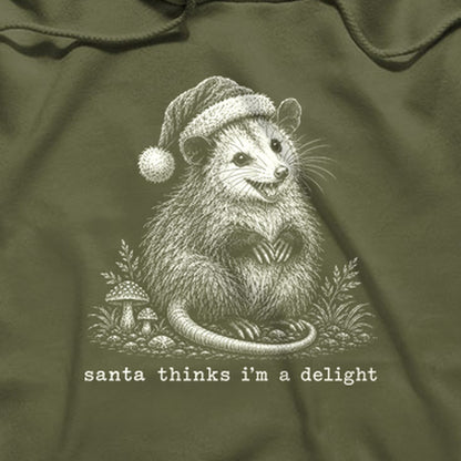 Santa Thinks I Am a Delight Possum Hoodie