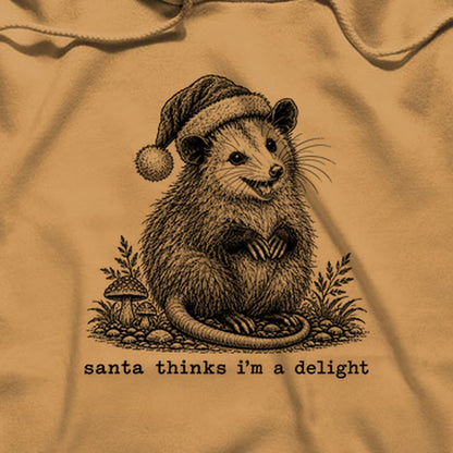 Santa Thinks I Am a Delight Possum Hoodie