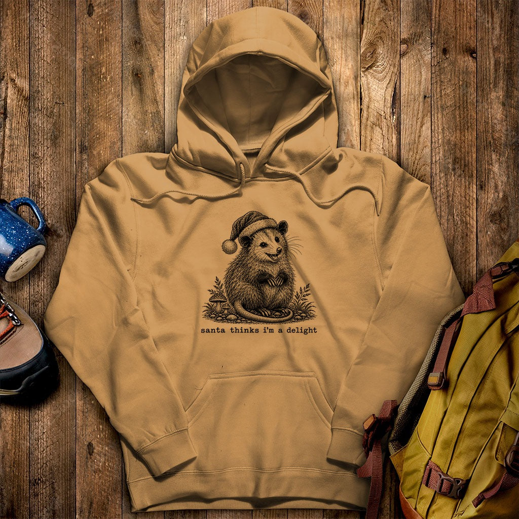 Santa Thinks I Am a Delight Possum Hoodie