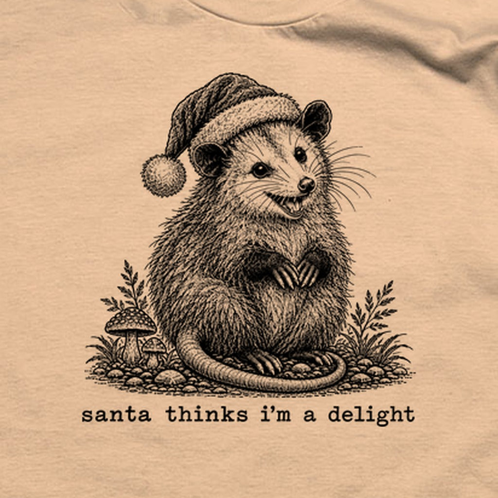 Santa Thinks I Am a Delight Possum T-Shirt