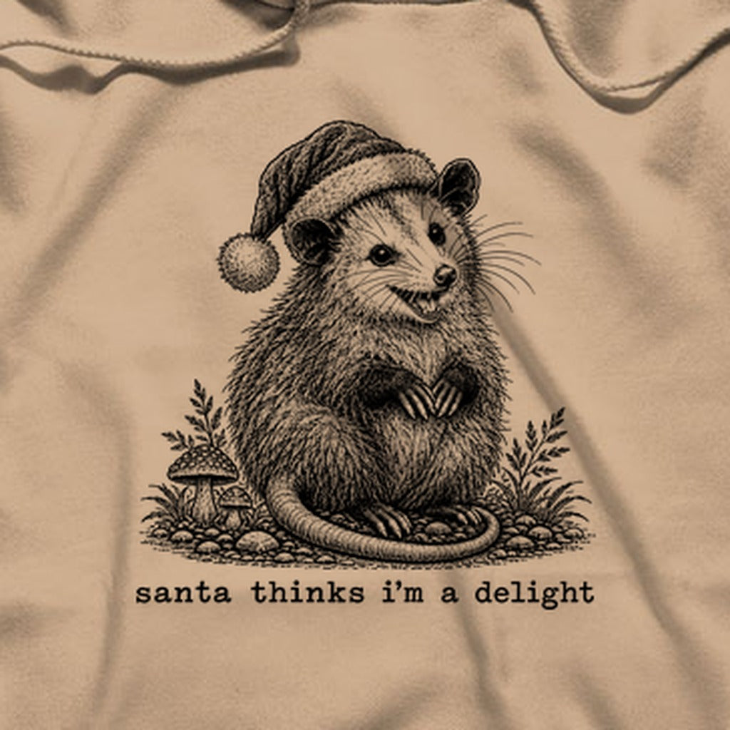 Santa Thinks I Am a Delight Possum Hoodie