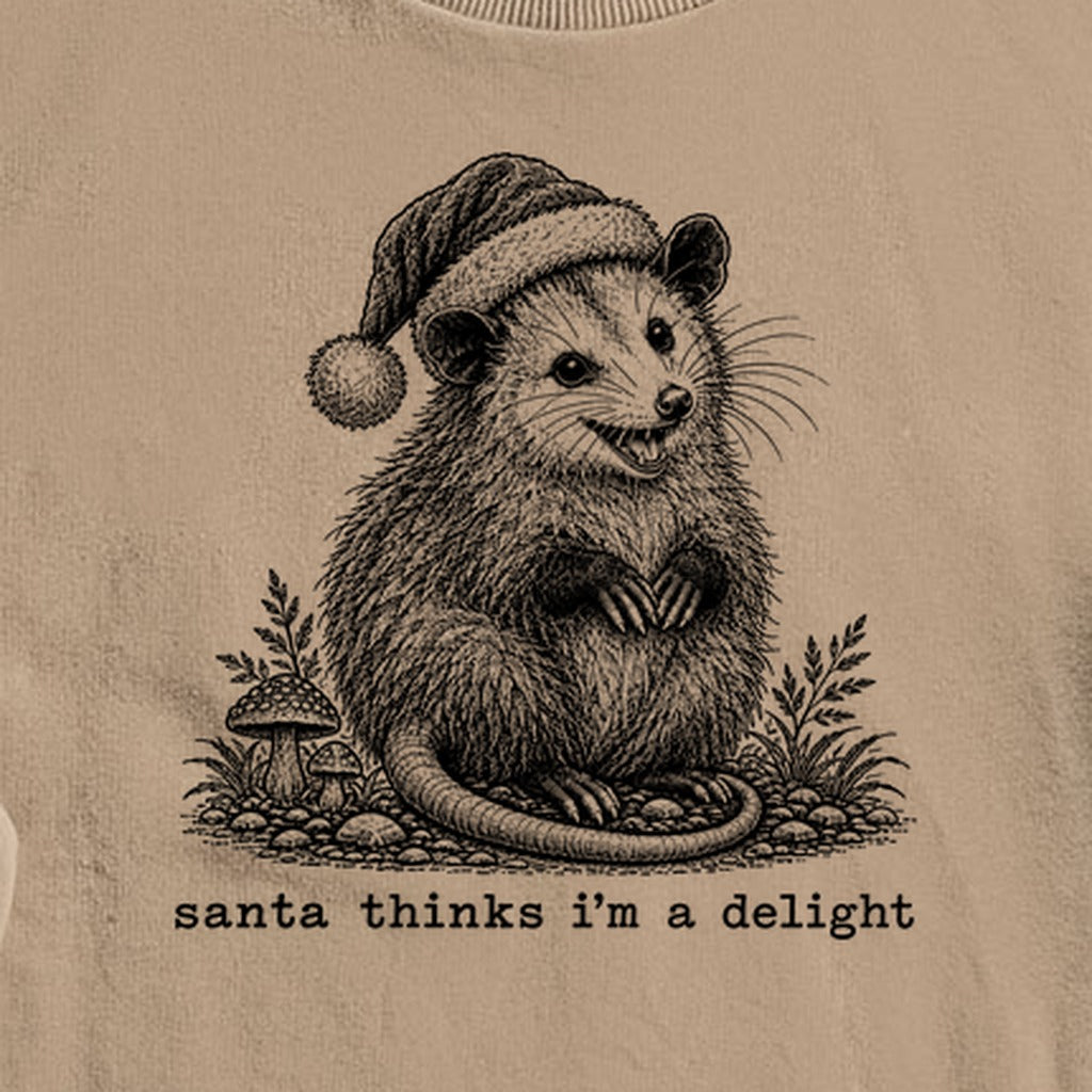 Santa Thinks I Am a Delight Possum Crewneck Sweatshirt