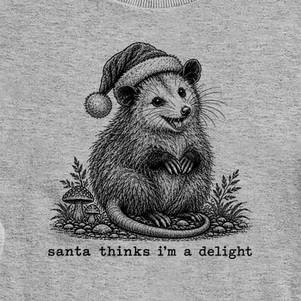 Santa Thinks I Am a Delight Possum Crewneck Sweatshirt