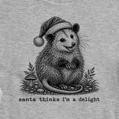 Santa Thinks I Am a Delight Possum Crewneck Sweatshirt