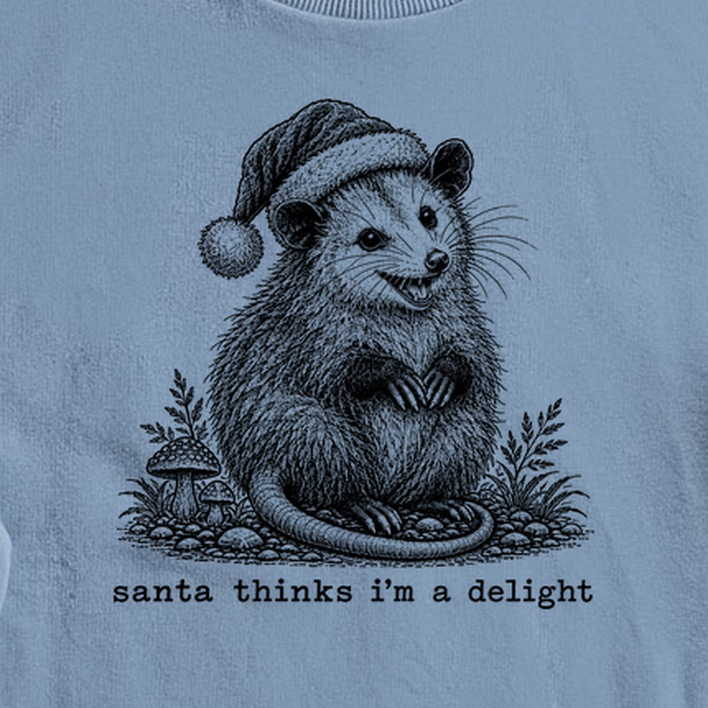 Santa Thinks I Am a Delight Possum Crewneck Sweatshirt