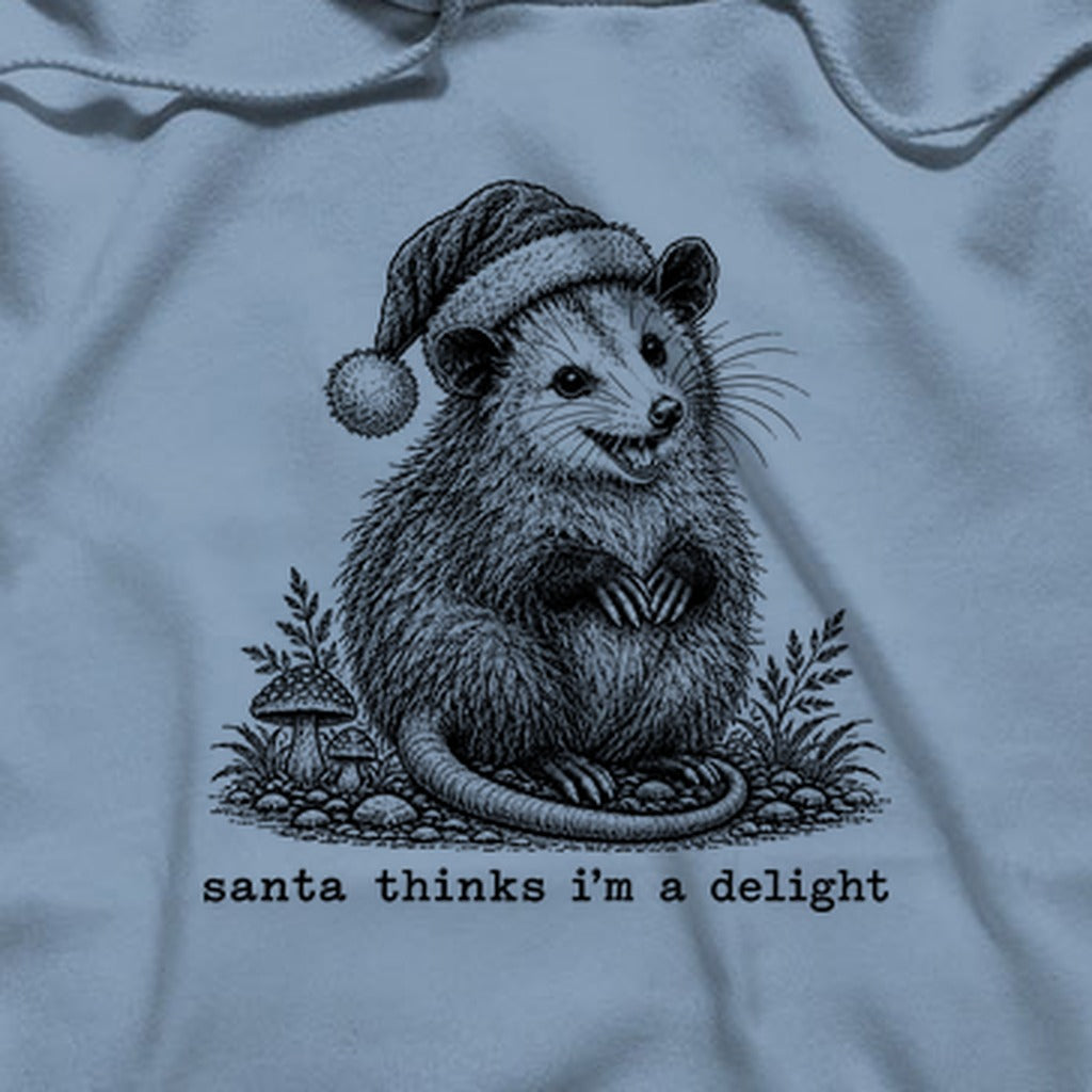 Santa Thinks I Am a Delight Possum Hoodie