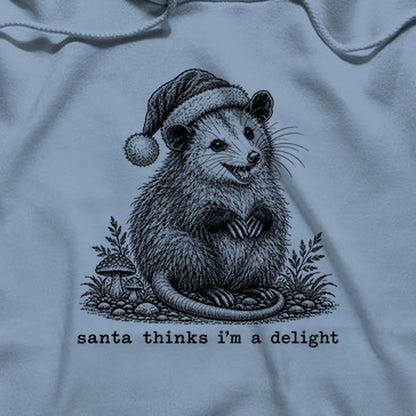 Santa Thinks I Am a Delight Possum Hoodie