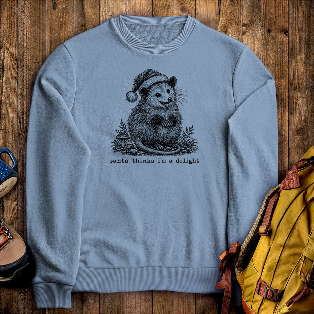 Santa Thinks I Am a Delight Possum Crewneck Sweatshirt