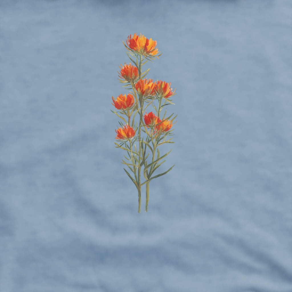 Painted Indian Paintbrush Crewneck Sweatshirt